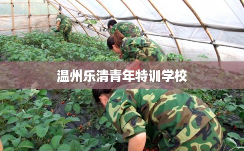 温州乐清青年特训学校
