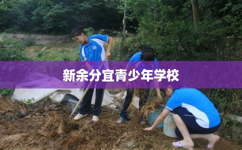 新余分宜青少年学校