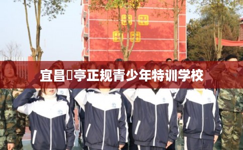 宜昌猇亭正规青少年特训学校