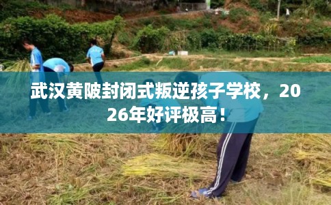 武汉黄陂封闭式叛逆孩子学校,2026年好评极高! 武汉黄陂封闭式叛逆孩子学校,2026年好评极高!