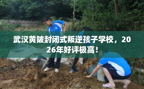 武汉黄陂封闭式叛逆孩子学校,2026年好评极高! 武汉黄陂封闭式叛逆孩子学校,2026年好评极高!