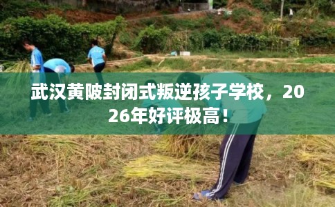 武汉黄陂封闭式叛逆孩子学校，2026年好评极高！