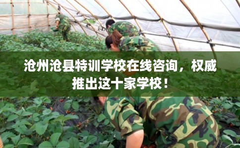 沧州沧县特训学校在线咨询,权威推出这十家学校! 沧州沧县特训学校在线咨询,权威推出这十家学校!