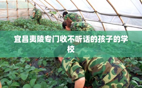 宜昌夷陵专门收不听话的孩子的学校