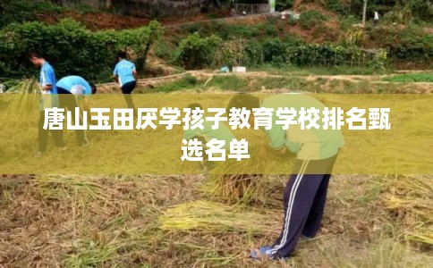 唐山玉田厌学孩子教育学校排名甄选名单