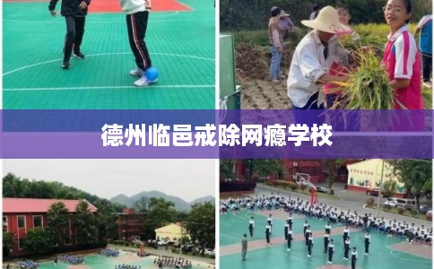 德州临邑戒除网瘾学校