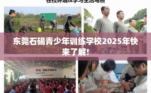 东莞石碣青少年训练学校2025年快来了解!