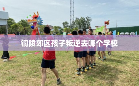 铜陵郊区孩子叛逆去哪个学校 铜陵郊区孩子叛逆去哪个学校