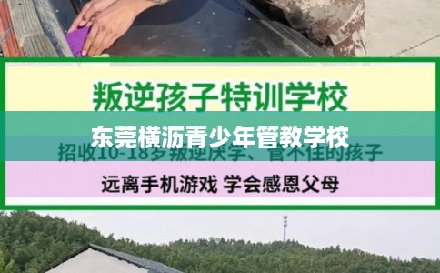 东莞横沥青少年管教学校