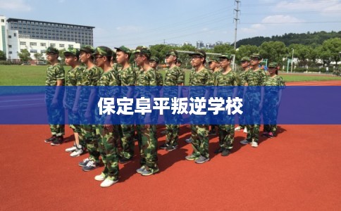 保定阜平叛逆学校 保定阜平叛逆学校