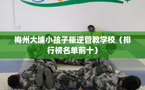 梅州大埔小孩子叛逆管教学校(排行榜名单前十) 梅州大埔小孩子叛逆管教学校(排行榜名单前十)