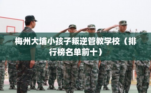 梅州大埔小孩子叛逆管教学校(排行榜名单前十) 梅州大埔小孩子叛逆管教学校(排行榜名单前十)