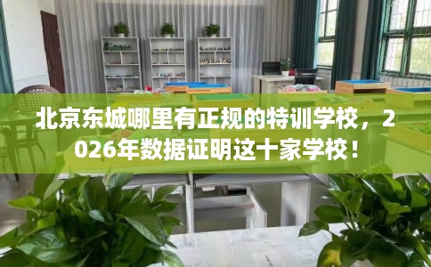 北京东城哪里有正规的特训学校，2026年数据证明这十家学校！