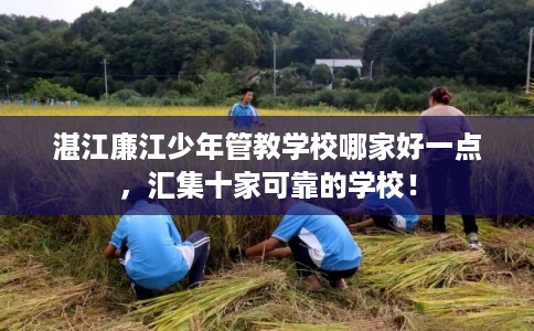 湛江廉江少年管教学校哪家好一点，汇集十家可靠的学校！