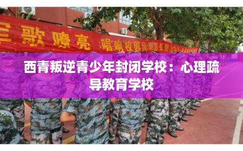 西青叛逆青少年封闭学校：心理疏导教育学校