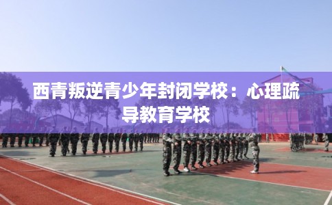 西青叛逆青少年封闭学校：心理疏导教育学校