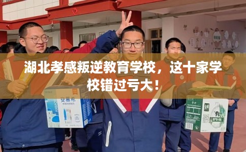 湖北孝感叛逆教育学校，这十家学校错过亏大！