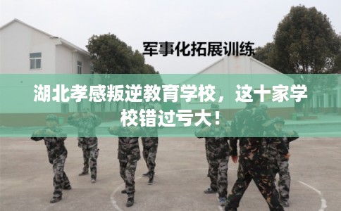 湖北孝感叛逆教育学校，这十家学校错过亏大！