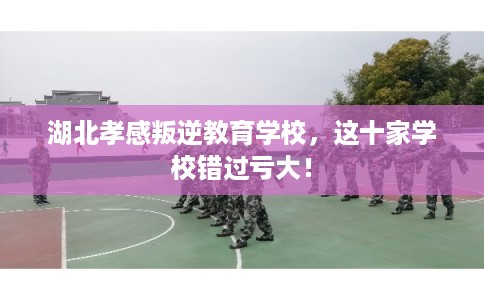 湖北孝感叛逆教育学校，这十家学校错过亏大！