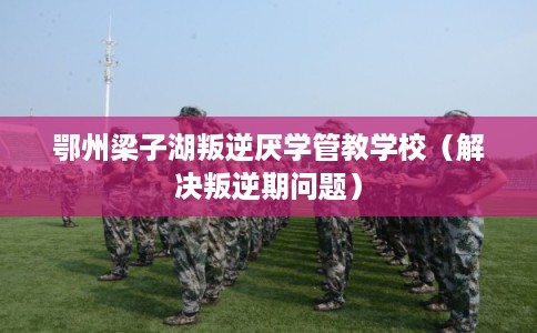 鄂州梁子湖叛逆厌学管教学校(解决叛逆期问题) 鄂州梁子湖叛逆厌学管教学校(解决叛逆期问题)