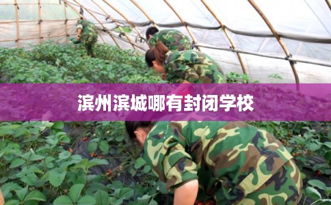 滨州滨城哪有封闭学校