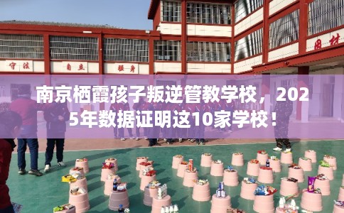 南京栖霞孩子叛逆管教学校,2025年数据证明这10家学校! 南京栖霞孩子叛逆管教学校,2025年数据证明这10家学校!