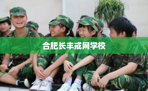 合肥长丰戒网学校
