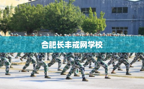 合肥长丰戒网学校