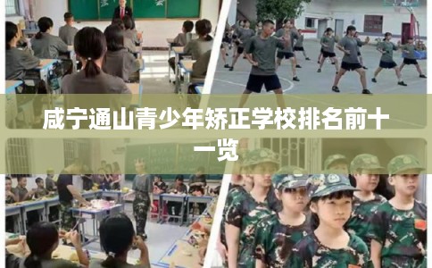 咸宁通山青少年矫正学校排名前十一览