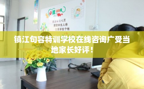 镇江句容特训学校在线咨询广受当地家长好评！