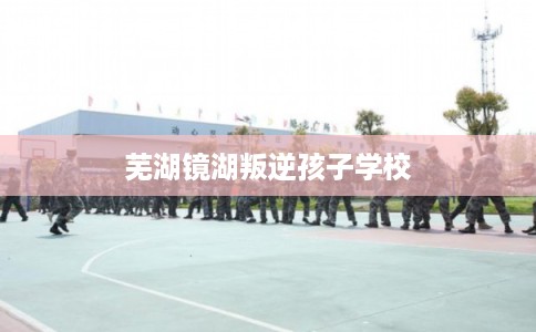 芜湖镜湖叛逆孩子学校