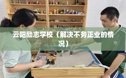 云阳励志学校（解决不务正业的情况）