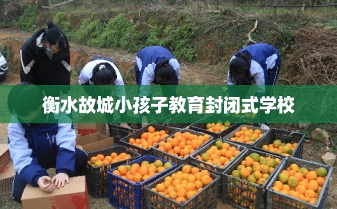 衡水故城小孩子教育封闭式学校 衡水故城小孩子教育封闭式学校