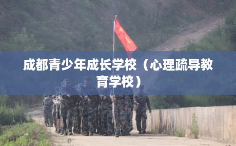 成都青少年成长学校（心理疏导教育学校）