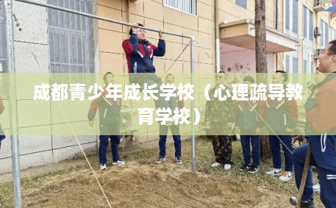 成都青少年成长学校（心理疏导教育学校）