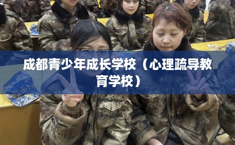成都青少年成长学校（心理疏导教育学校）