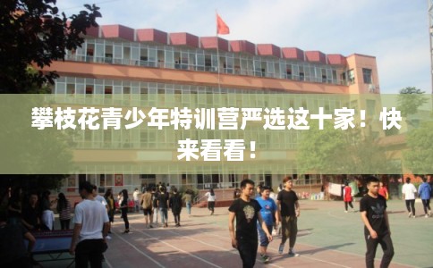 攀枝花青少年特训营严选这十家！快来看看！