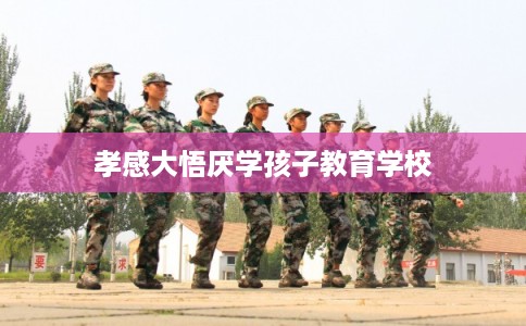 孝感大悟厌学孩子教育学校