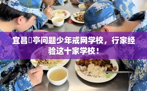 宜昌猇亭问题少年戒网学校，行家经验这十家学校！