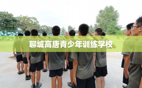 聊城高唐青少年训练学校