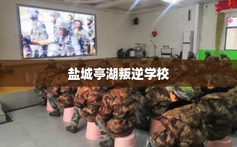 盐城亭湖叛逆学校