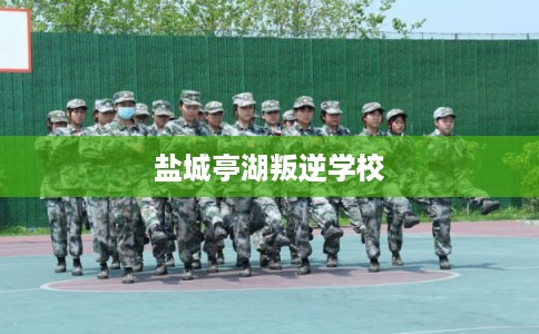 盐城亭湖叛逆学校