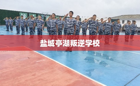 盐城亭湖叛逆学校