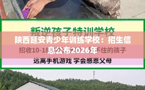 陕西延安青少年训练学校：招生信息公布2026年