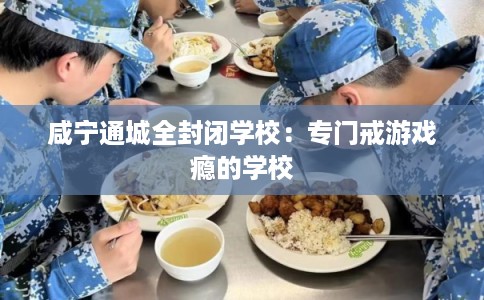 咸宁通城全封闭学校:专门戒游戏瘾的学校 咸宁通城全封闭学校:专门戒游戏瘾的学校