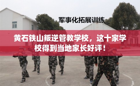 黄石铁山叛逆管教学校，这十家学校得到当地家长好评！