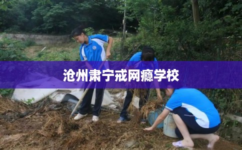 沧州肃宁戒网瘾学校