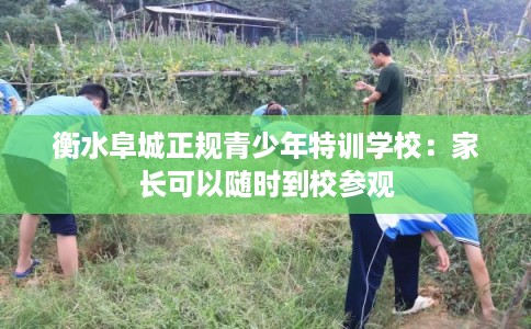 衡水阜城正规青少年特训学校：家长可以随时到校参观