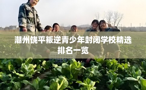 潮州饶平叛逆青少年封闭学校精选排名一览