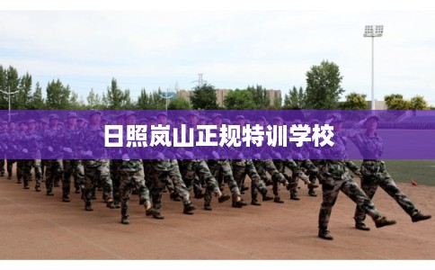 日照岚山正规特训学校